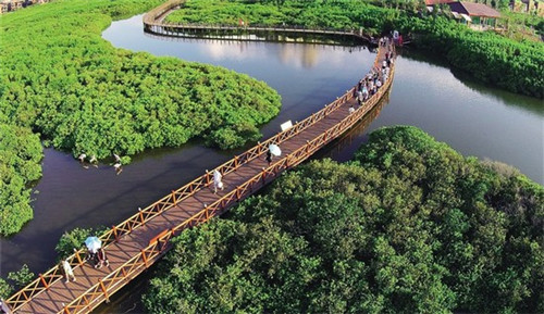 烘焙达人蛋糕