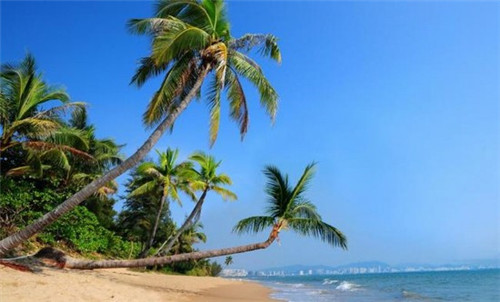 悦来悦喜便利店