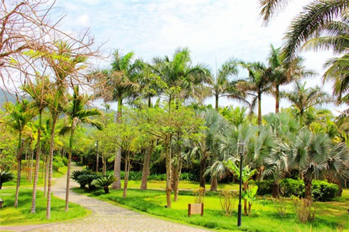 舜华鸭蛋面