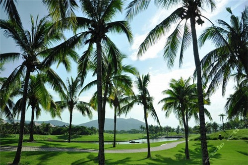 儿童游戏10大品牌