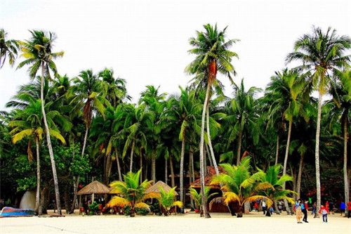 加盟摊果香煎饼果儿正常几年回本