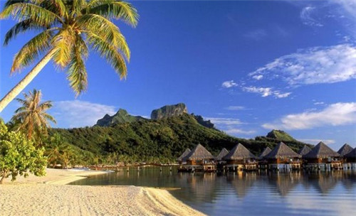 2025特色面馆加盟店还有客源吗，新嘉园面馆加盟要满足哪些条件