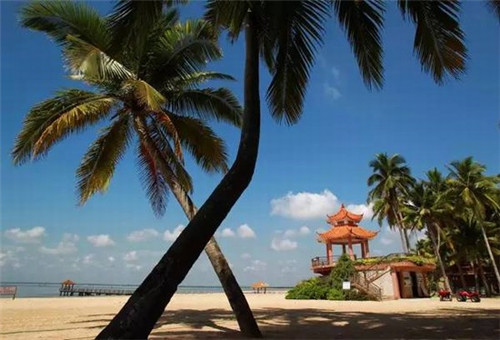 炙口福煲仔饭有多少家分店