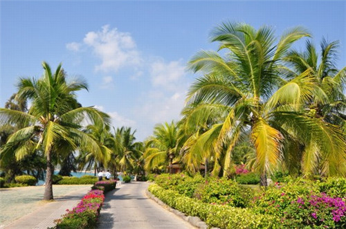 id地址是什么意思（iphoneid地址是什么）