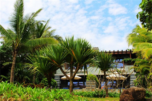减肥可以吃尖椒炒豆片吗（减肥可以吃尖椒炒蛋吗）