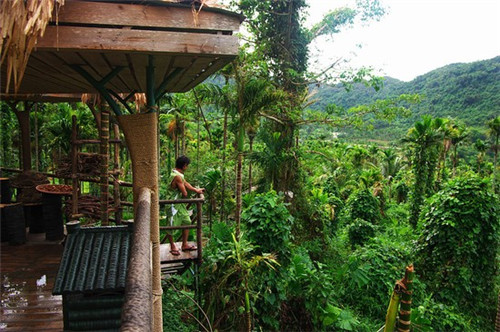 新文科类创业项目有哪些（文科创业学什么专业好）